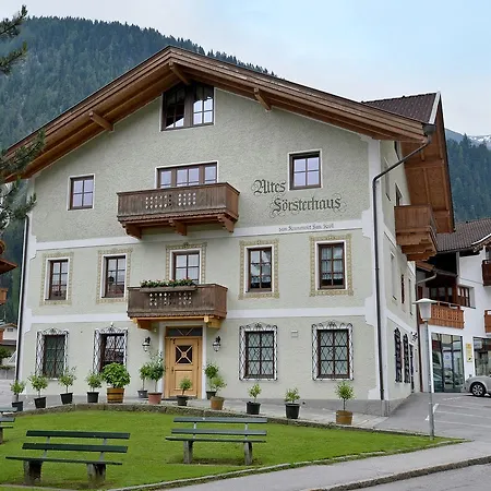 Foersterhaus & Haus Andrea 4* Майрхофен