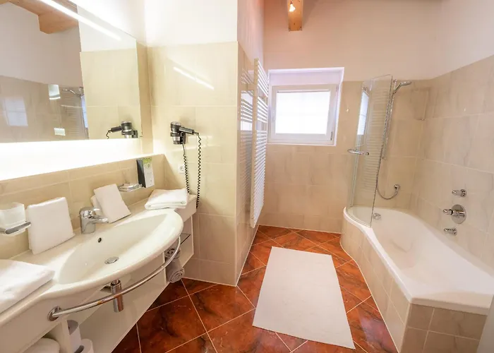 Foersterhaus & Haus Andrea 4* Mayrhofen