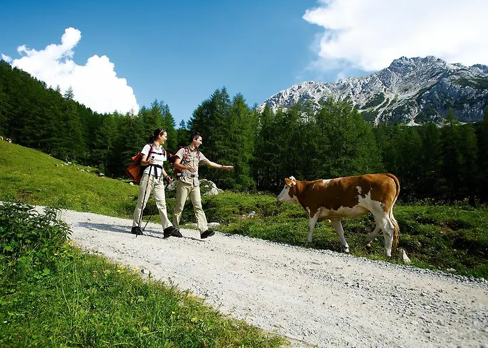 Bed and breakfast Foersterhaus & Haus Andrea 4*