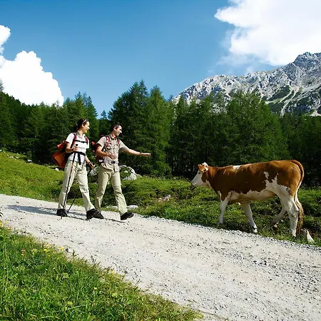 Oda ve Kahvaltı Foersterhaus & Haus Andrea 2*